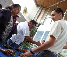 Imagen09