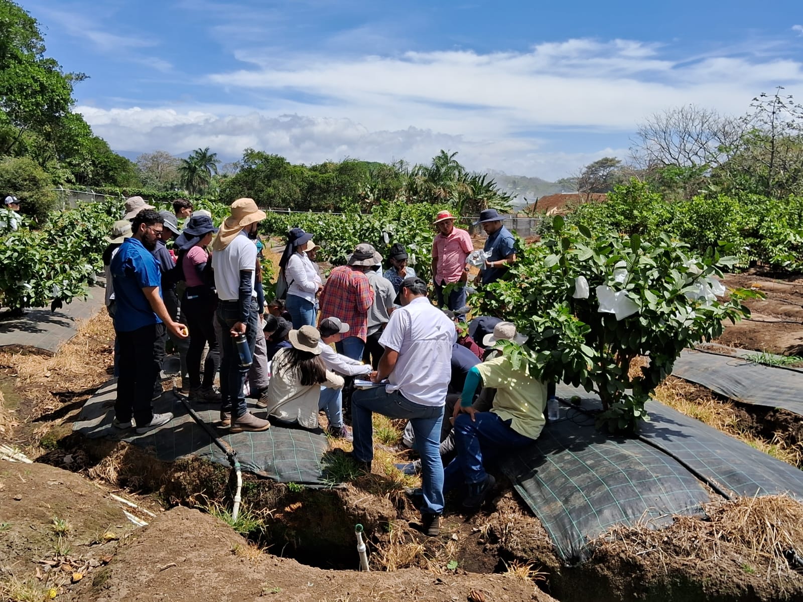 13 2 24 Visita Turri Y Guana