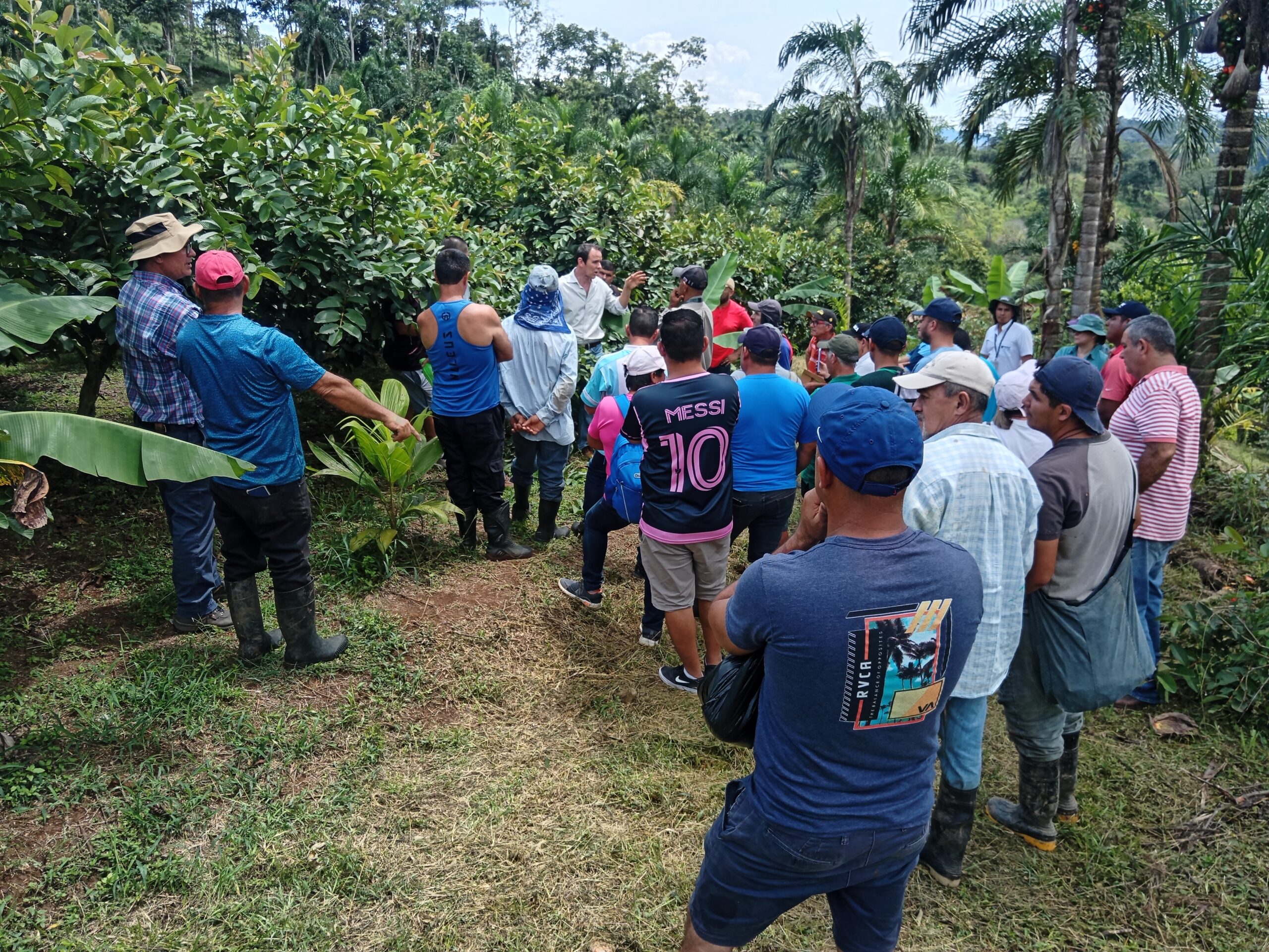Dia Campo Tucurrique 1